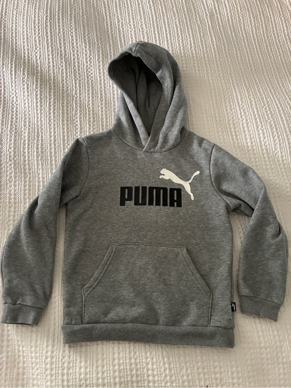 Puma Gray Kids' Hooded Sweatshirt with White Logo